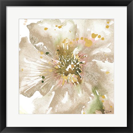 Framed Neutral Watercolor Poppy Close Up II Print