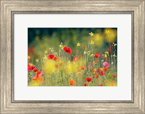 Framed Just a Perfect Day Print