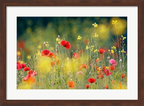Framed Just a Perfect Day Print