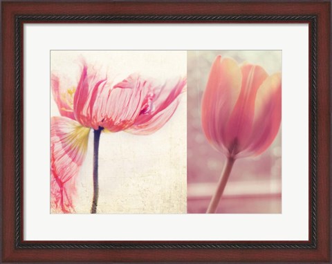 Framed Poppy &amp; Tulip Print