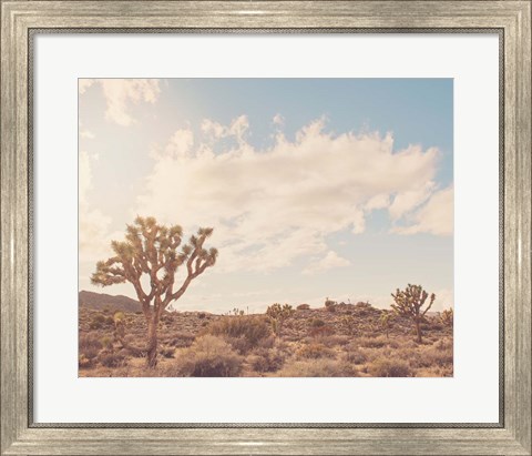 Framed Sunshine &amp; Joshua Trees Print