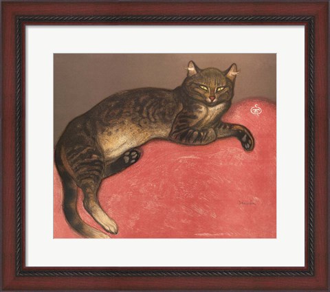 Framed Cat on a Cushion Print