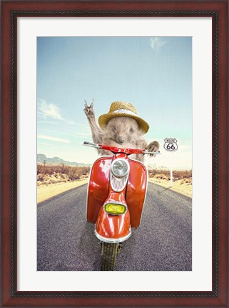 Framed Hedgehog Traveler Print