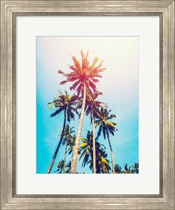 Framed Palms in the Sun Print