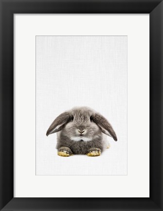Framed Rabbit II Print