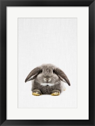 Framed Rabbit II Print
