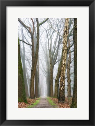 Framed At the End You Will Find a New Beginning Print