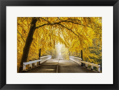 Framed Bridge to Fall III Print