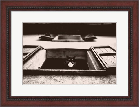 Framed Dali the Cat Print