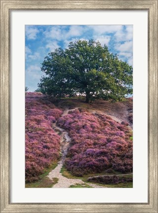 Framed Purple Heath Print
