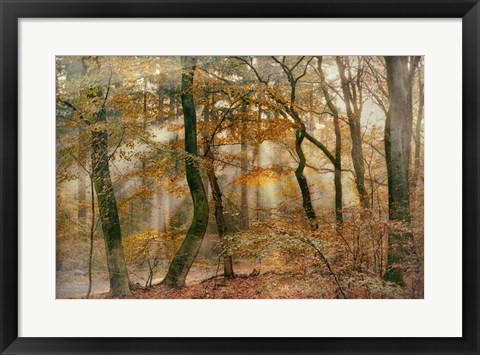 Framed You Can&#39;t Hide Your Rays for Me Print