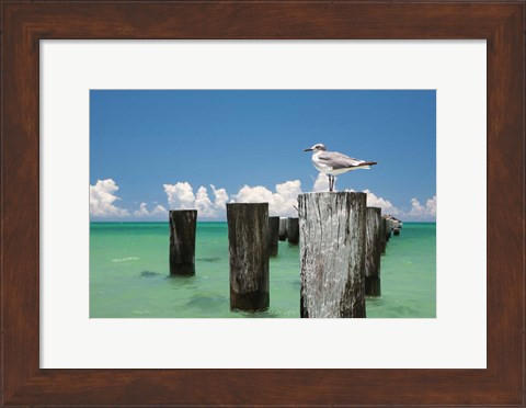 Framed Welcome to Naples, Florida Print