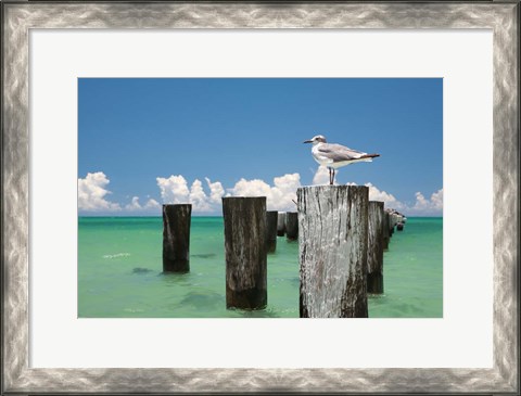 Framed Welcome to Naples, Florida Print