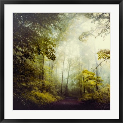 Framed Glorious Woods Print