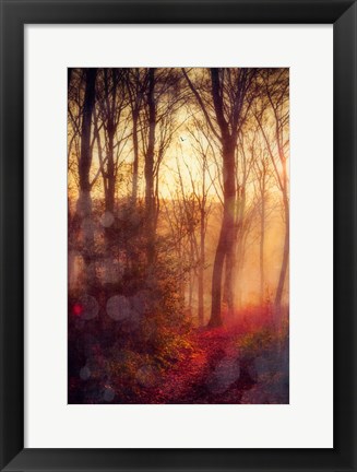 Framed Seasons Light Print