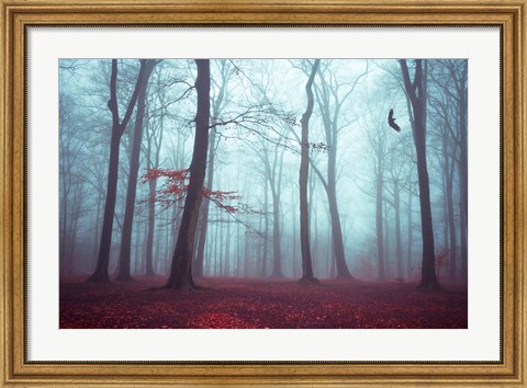Framed Solstice in Fog Print