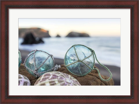 Framed Crescent Beach Shells 16 Print