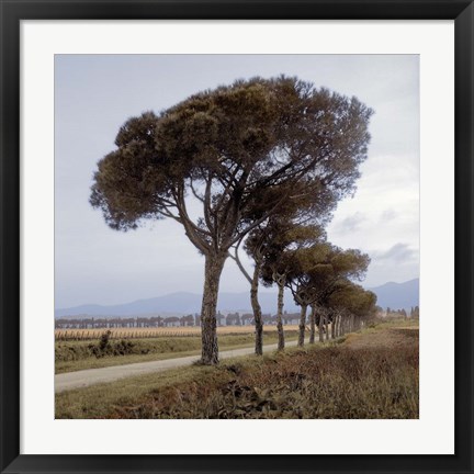 Framed Tuscan Fatorria Strada No. 1 Print