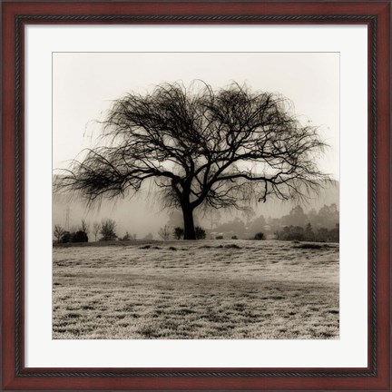 Framed Willow Tree Print