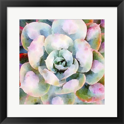 Framed Succulente V Print