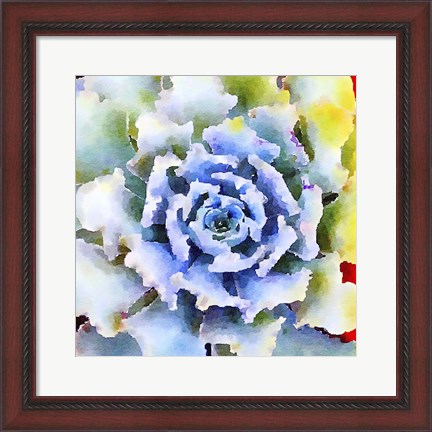 Framed Succulente VII Print