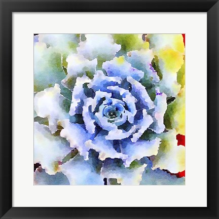 Framed Succulente VII Print