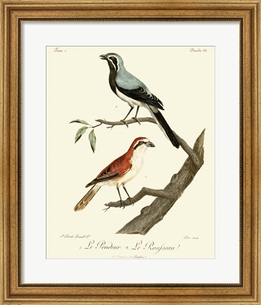 Framed Vintage French Birds II Print