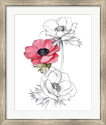 Framed Anemone by Number II Print