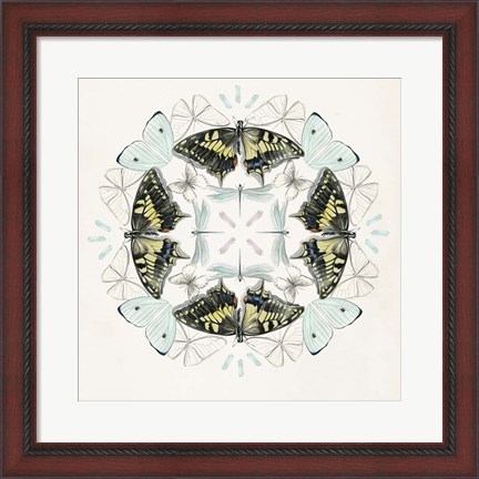 Framed Butterfly Mandala I Print