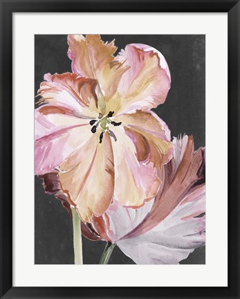 Framed Pastel Parrot Tulips II Print