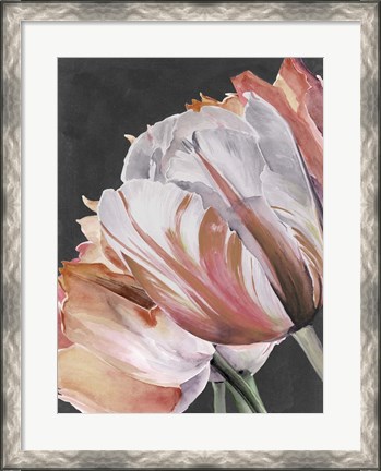 Framed Pastel Parrot Tulips III Print
