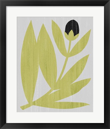 Framed Flower Cutting II Print