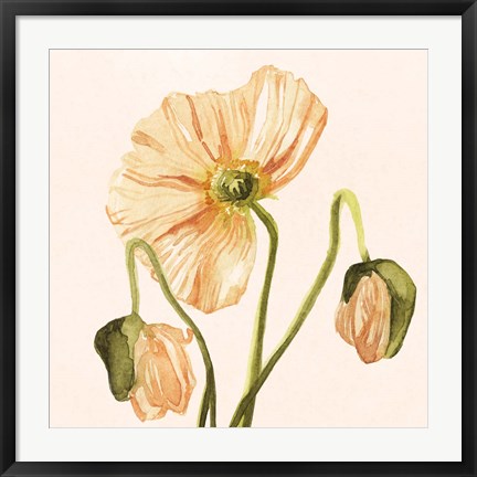 Framed Highpoint Poppies I Print