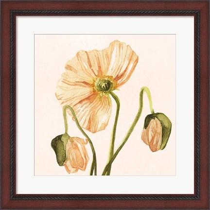 Framed Highpoint Poppies I Print