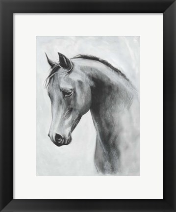 Framed Cavallo II Print