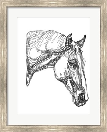 Framed Equine Contour III Print