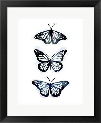 Framed Blue Butterfly Trio II Print