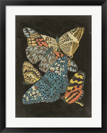 Framed Winged Patterns II Print