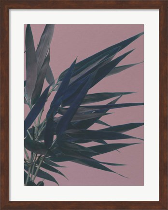 Framed Bamboo Pink I Print