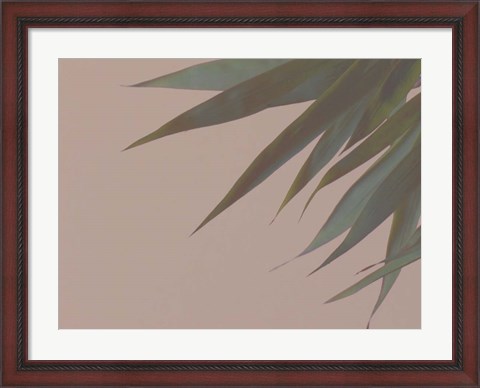 Framed Bamboo Pink III Print