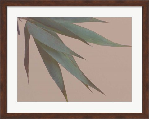 Framed Bamboo Pink IV Print