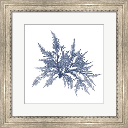 Framed Navy Seaweed V Print