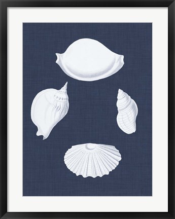 Framed Coquillages Blancs I Print