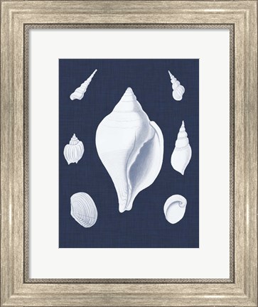 Framed Coquillages Blancs II Print
