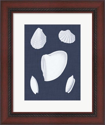 Framed Coquillages Blancs VI Print