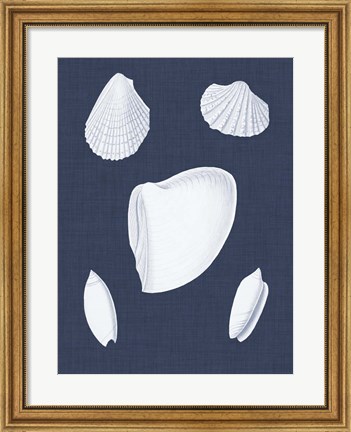 Framed Coquillages Blancs VI Print