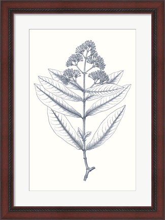 Framed Indigo Botany Study I Print