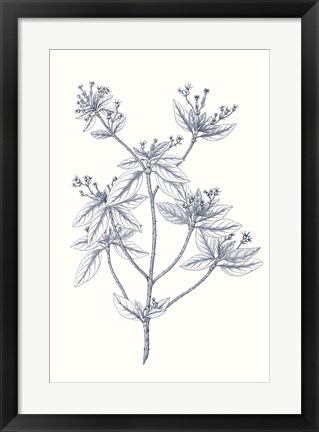 Framed Indigo Botany Study III Print