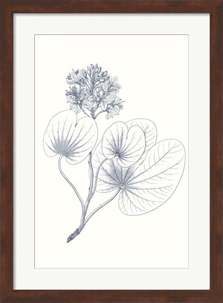Framed Indigo Botany Study IV Print