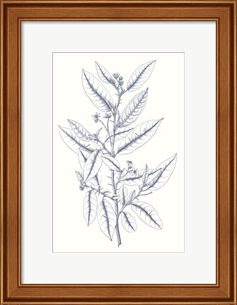 Framed Indigo Botany Study V Print